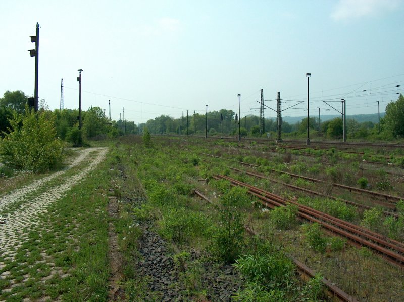 Ehemalige G�tergleise am westlichen Gleisvorfeld in Naumburg (Saale) Hbf; 01.05.2009
