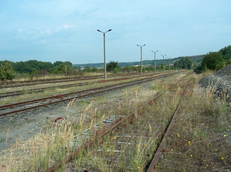 Ehemalige Rangier- und Abstellgleise am Zementwerk Karsdorf; 08.08.2009