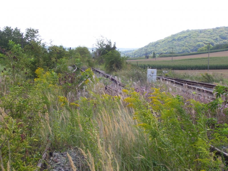 Ehemaliger Ablaufberg in Laucha (Unstrut); 18.08.2007