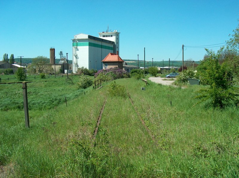 Ehemaliges Gleis der KBS 587 von Querfurt im Bf Vitzenburg; 10.05.2008