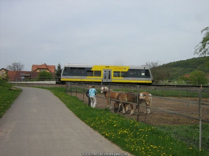 Ein VT 672 der Burgenlandbahn am Hp Wangen (Unstrut); 26.04.2009 (Foto: Thomas Menzel) 