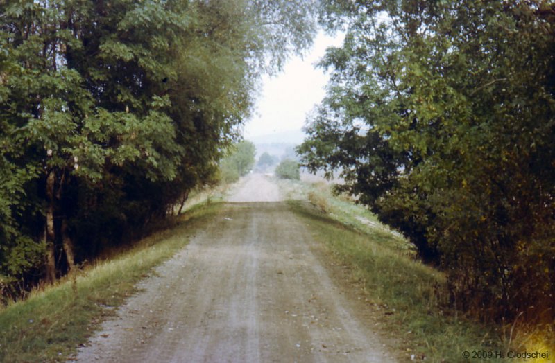 Gleisbett der Finnebahn bei K�lleda; 1985 (Foto: Heinz Glodschei)