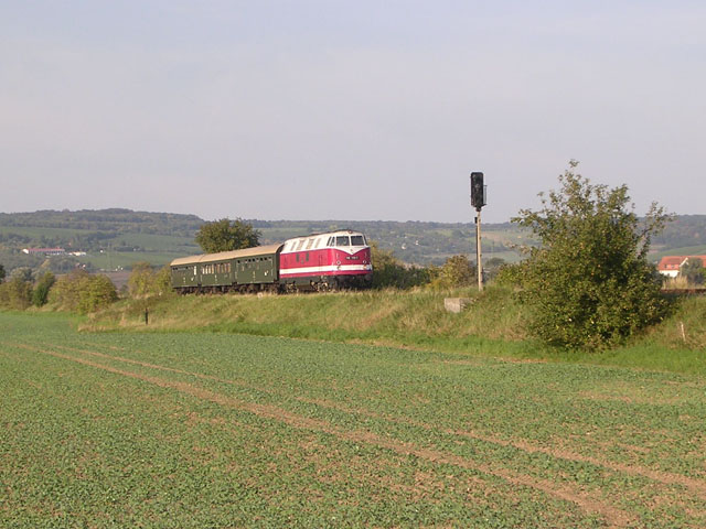 IG 58 3047 e.V. 118 770-7 mit einem Winzerfestsonderzug von Freyburg nach Glauchau am 17.09.2006 bei Kleinjena. (Foto: Thomas Menzel)