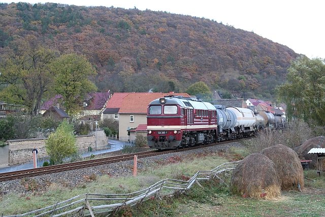 LEG 120 295-1 mit einem Fotog�terzug von Sta�furt nach Nebra, am 12.11.2006 in Wangen (U). (Foto: Tino W�ldchen)