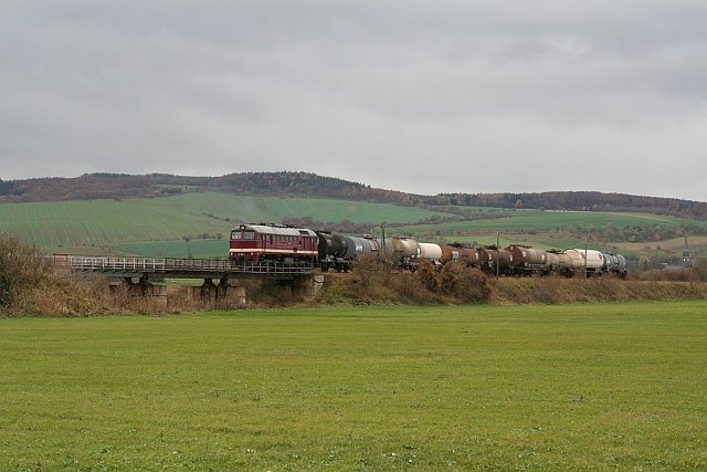 LEG 120 295-1 mit einem Fotog�terzug von Sta�furt nach Nebra, am 12.11.2006 auf der Flutbr�cke zwischen Donndorf und Ro�leben. (Foto: Tino W�ldchen)