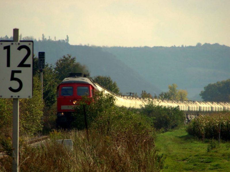 MEG 315 (92 80 1232 489-5 D-MEG) mit einem Zementleerzug nach Karsdorf, kurz vor dem Bf Laucha; 07.10.2007 (Foto: Dieter Thomas)