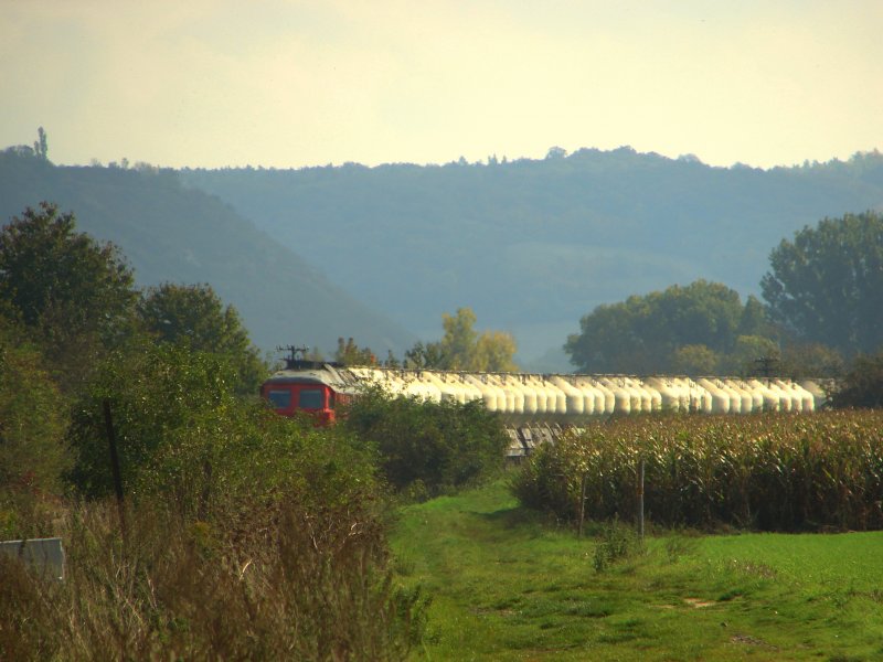 MEG 315 (92 80 1232 489-5 D-MEG) schl�ngelt sich mit einem Zementleerzug nach Karsdorf bei Laucha durch das Unstruttal; 07.10.2007 (Foto: Dieter Thomas)