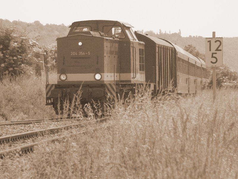 MTEG 204 354-5 mit dem DLr 99817 von Freyburg (Unstrut) nach Karsdorf bei Laucha (Unstrut); 07.06.2008