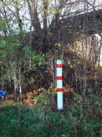 Unbekannter roter Pfal an der Finnebahnbr�cke zwischen Laucha und Golzen; 13.11.2013 (Foto: G�nther G�bel)
