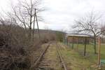 Das alte Finnebahngleis am 23.02.2014 in Golzen.