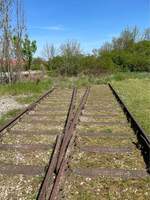 Gleisreste im ehem. Bahnhof Bad Bibra, am 01.05.2025. (Foto: Erik Ritterbach) 