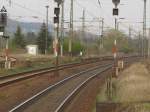 Am Freitag, den 13.04.2011 hatte dieser Gleislatscher mit Hund mehr Gl�ck als Verstand, als er alle Gleise in Naumburg Hbf �berquerte um in Richtung Bl�tengrund zu laufen.