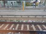 M�llentsorgung am Bahnsteig 3, am 12.11.2023 in Naumburg (S) Hbf.