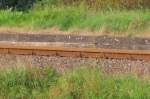 Das Unstrutbahngleis und ein Teil vom Bahnsteig in Kleinjena; 10.09.2011 (Foto: SW)
