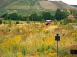 Durch den hohen Pflanzenwuchs im Bahnhof Ro�leben sind die roten Ferkeltaxen der Oberwei�bacher Berg- und Schwarzatalbahn bei der Einfahrt kaum zu erkennen.