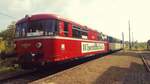 VT 798 813 +  VT 798 01 + VS 998 01 der Wisentatalbahn e.V. als  Sonderzug Hohe Schrecke  aus Erfurt Hbf, am 07.09.2018 in Donndorf. (Foto: Matthias Strohbach) 