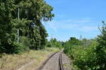 Blick über den zugewachsenen Bahnsteig der Unstrutbahn bei Reinsdorf in Richtung Artern am 30.07.2020.