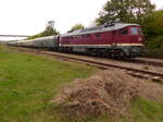 LEG 132 004-3 mit den Sonderzug aus Leipzig und Chemnitz, am 09.09.2017 in der Abstellung in Karsdorf Bbf.