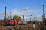EBS 202 738-1 + 142 110 und zwei weitere EBS-Loks, am 07.11.2015 abgestellt in Naumburg.