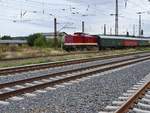 Zum Freyburger Winzerfest kam am 07.09.2019 auch mal wieder der Lausitzer Dampflokclub mit einem Sonderzug ins Unstruttal. Die LDC 112 302-5 bespannte den DPE 73989 von Cottbus nach Freyburg, hier zusehen in Naumburg Hbf. Die Abstellung erfolgte in der Awanst Vitzenburg. (Foto: Dominik Steinfatt)