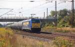RBB 146 520-2 mit Kesselwagen Richtung Gro�korbetha, am 07.09.2013 in Naumburg Hbf.