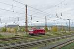 Am 07.11.2022 verlie� die frisch lackierte FWK 250 195-5 Naumburg (S) Hbf in Richtung Erfurt.