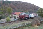 LEG 120 295-1 mit einem Fotog�terzug von Sta�furt nach Nebra, am 12.11.2006 in Wangen (U).
