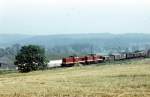 V100 Doppeltraktion mit einem Nahg�terzug nach Lossa, in H�he des damaligen Gleisanschlusses der VEB Getreidewirtschaft Nebra in Bad Bibra; September 1980 (Foto: Klaus Pollm�cher)
