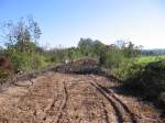 Das gekappte Unstrutbahngleis hinter der alten Saalebr�cke in Ro�bach, mit Blick in Richtung Naumburg; 16.10.2011 (Foto: Hans Grau)