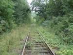 Das immer weiter zuwachsende Unstrutbahngleis zwischen Wangen und Ro�leben, wo ab Herbst 2011 wieder G�terz�ge fahren sollen; 13.08.2011