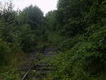 Das Unstrutbahngleis mit Blick Richtung Artern, am 10.07.2024 in Roßleben.