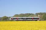 abellio 1648 xxx als RB 80571 von Wangen nach Naumburg Ost, am 30.04.2019 bei Roßbach; (Foto: Wolfgang Krolop)