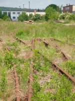 Die ehemaligen Rangiergleise am Naumburger Ostbahnhof; 28.05.2011 (Foto: G�nther G�bel)