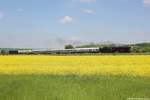 Nach der Drehfahrt über Camburg und Großheringen zog dann nach dem zweiten Halt am 19.05.2013 in Freyburg die DB Museum 03 1010 den DPE 37693 von Freyburg nach Großheringen. Wolfgang Krolop fotografierte den Sonderzug bei Kleinjena.