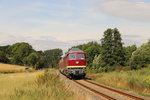 EBS 132 334-4 mit dem DPE 74381  FahrradExpress  von Karsdorf nach Naumburg Hbf, am 20.08.2016 bei Balgstädt.