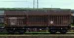 A-RCW 31 81 4669 051-2 Gattung Shimmns Pattburg/DK 06.07.2025