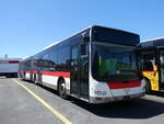 (277'306) - VBZ Zrich - Nr. 795 - MAN (ex St. Gallerbus, St. Gallen Nr. 286) am 28. Juni 2025 in Kerzers, Interbus