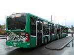 (247'909) - BVB Basel - Nr.