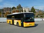 (230'311) - AutoPostale Ticino - TI 339'233 - Iveco am 10.