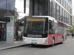 (171'060) - Egner, Neu-Ulm - NU-E 838 - MAN am 19.