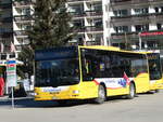 (233'236) - Grindelwaldbus, Grindelwald - Nr.