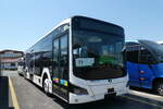 (289'270) - ATE Bus, Effretikon - Nr. 77 - MAN am 27. Juni 2026 in Kerzers, Interbus
