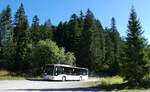 (280'518) - Wetterstein, Leutasch - IL XL 11 - Mercedes am 18. September 2025 in Seefeld, Wildmoosalm