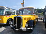 (266'371) - Party-Bus, Grosswangen - LU 30'387 - Berna/R&J (ex Widmer, Aarburg AG ; ex Gutjahr, Pfungen Nr. 3; ex AOE Langnau Nr. 19; ex SER Langnau Nr. 19) am 31. August 2024 in Oberkirch, CAMPUS Sursee