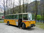 (248'726) - Wittwer, Chur - GR 16'004 - FBW/Gangloff (ex Eggenberger, Mriken; ex AVG Grindelwald Nr.