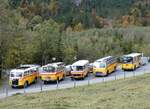 (268'053) - Schmid, Thrishaus - Nr. 3/BE 26'760 - Saurer/Gangloff (ex Geiger, Adelboden Nr. 3) + Nr. 9/BE 26'105 - Saurer/R&J (ex Geiger, Adelboden Nr. 9) + aus Deutschland: Hahn, Mnchen - Nr. 6/M-MB 309H - Mercedes (ex Mller, CH-Ennetmoos Nr. 6; ex Portenier, CH-Adelboden Nr. 6; ex Geiger, CH-Adelboden Nr. 6) + Gast, Reutigen - Nr. 1/BE 24'079 - FBW/FHS (ex Lambach, Gommiswald; ex Hotz, Rickenbach bei Wil/TG; ex P 24'079; ex P 21'579) + Schmid, Thrishaus - BE 26'206 - Saurer/Tscher (ex P 24'244) am 12. Oktober 2024 in Kiental, Tschingelsee