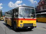 (277'378) - Lambach, Gommiswald - NW 24'301 - FBW/Eggli (ex Tanner+Lambach, Reigoldswil; ex Lambach, Rieden; ex Meier, Grt; ex AVG Grindelwald Nr.