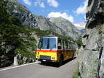 (277'390) - Lambach, Gommiswald - NW 24'301 - FBW/Eggli (ex Tanner+Lambach, Reigoldswil; ex Lambach, Rieden; ex Meier, Grt; ex AVG Grindelwald Nr.