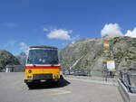 (277'413) - Lambach, Gommiswald - NW 24'301 - FBW/Eggli (ex Tanner+Lambach, Reigoldswil; ex Lambach, Rieden; ex Meier, Grt; ex AVG Grindelwald Nr.