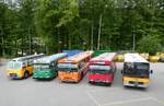 (286'757) - Gast, Reutigen - BE 24'079 - FBW/FHS (ex Nr. 1; ex Lambach, Gommiswald; ex Hotz, Rickenbach bei Wil/G; ex P 24'079; ex P 21'579) + BVB Basel (RWB) - Nr. 75/SO 202'621 - FBW/FHS + ZVB Zug ((RWB) - Nr. 35 - FBW/Hess + Bernmobil, Bern (SOB) - Nr. 193 . Volvo/Gangloff + ??? - NAW/Hess (ex Widmer, Bern; ex Lombardi, Winterthur; ex Wohlgemuth, Hochwald PID 2208) am 3. Mai 2026 in Burgdorf, �kihof Ziegelgut